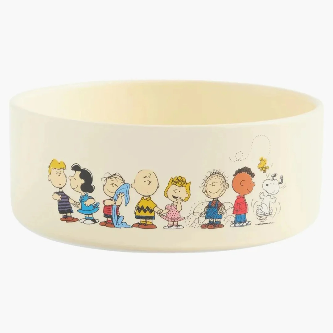 Kith X Peanuts Snoopy Dog Bowl Sandrift - Image 2