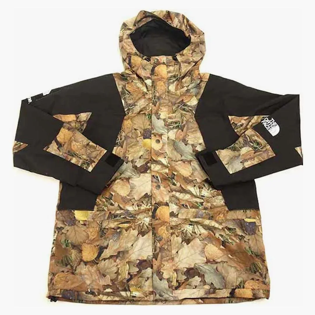 Supreme The North Face Mountain Light Jacket Leaves